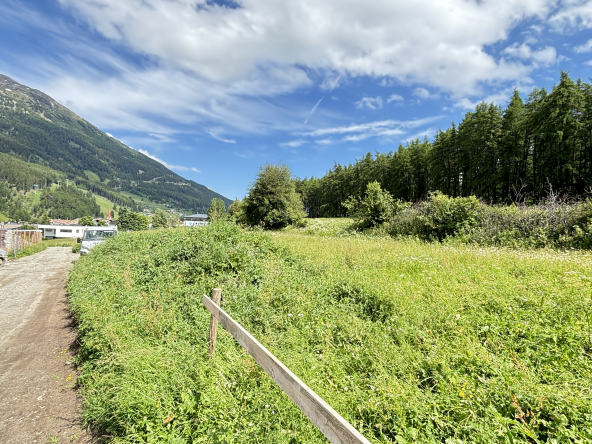 IMG_2438