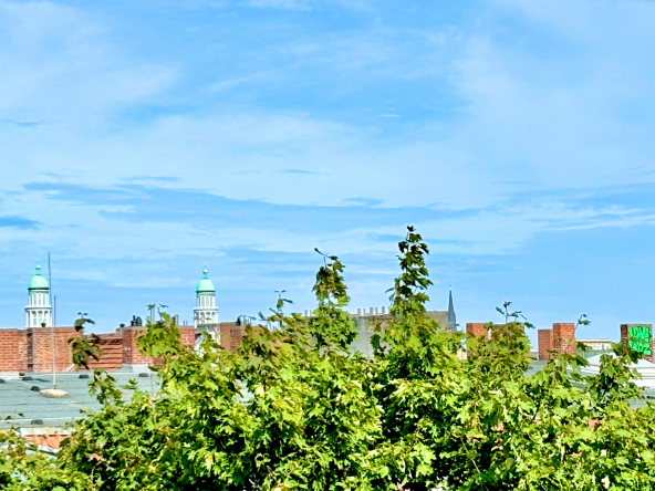 Ausblick