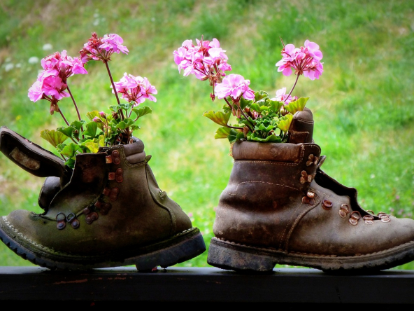 flower-4879631_1280