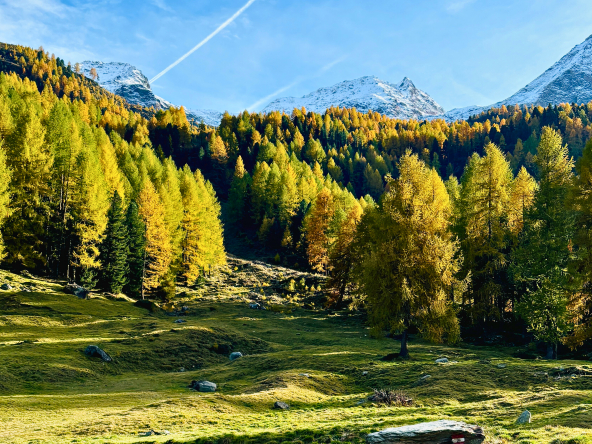 Herbstbeginn in Hintermartell