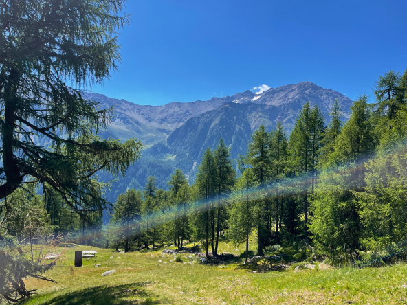 Landschaft