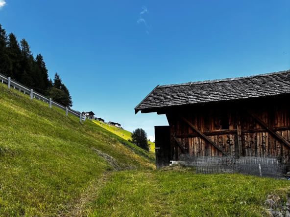 Wiesen